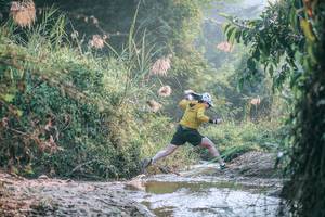 BIB: 
                            <button type="button" onclick="openModal(13716968)" class="btn btn-primary btn-sm float-right btn-popup" data-toggle="modal" data-target=".modal-high-quality">
                        <i class="fas fa-shopping-cart"></i> Add to Cart
                    </button>
                                            <button type="button" onclick="isThisMe(13716968, true)" class="btn btn-success btn-sm float-right btn-popup btn-isme hidden" data-toggle="tooltip" data-placement="bottom" title="นี่คือรูปของคุณใช่ไหม คลิกที่นี่เพื่อเอาเข้าอัลบั้ม">
                        <i class="fas fa-plus"></i> Add to album
                    </button>
                    <button type="button" onclick="isThisMe(13716968, false)" class="btn btn-warning btn-sm float-right btn-popup btn-isnotme hidden">
                        <i class="fas fa-ban"></i> Remove from album
                    </button>